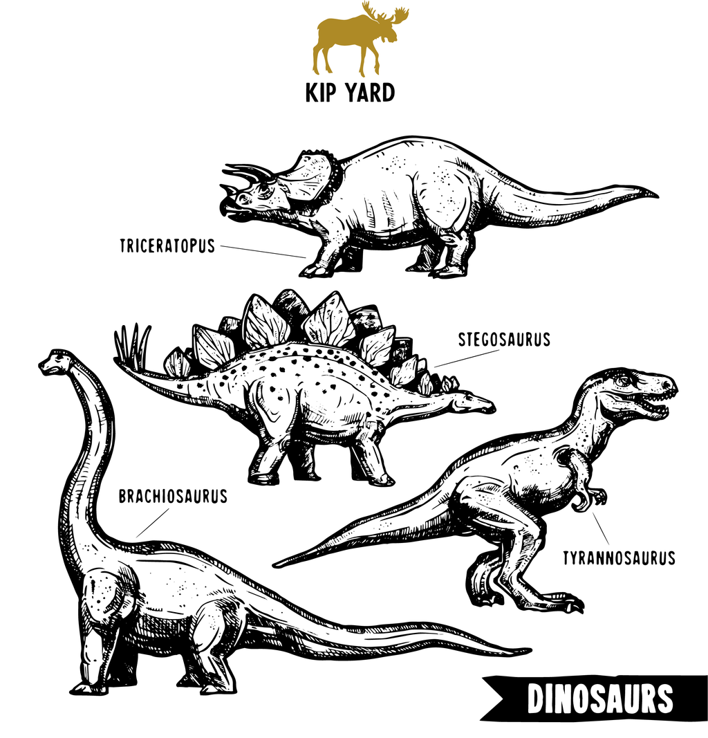 Dinosaurs Colour Fest!